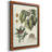 " Imperial Foliage III "-269446434