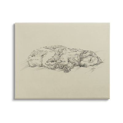 Stupell Industries Serene Dog Sleep Soft Cushion Monochrome Sketch Portrait In Wrapped Canvas
