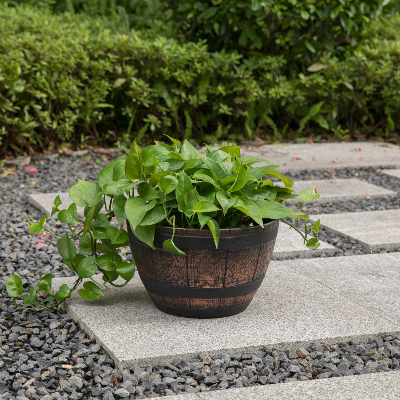 Evry Pot Planter, 8" H x 13" W x 13" D