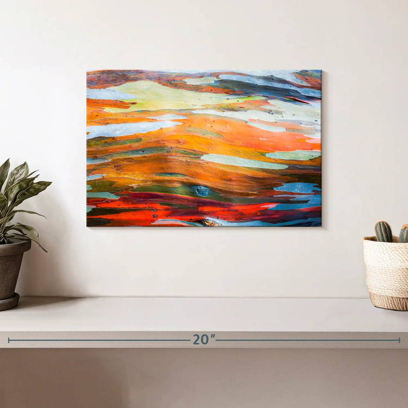 Avery Abstract Eucalyptus Tree Bark, 8'' H x 12'' W