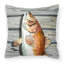  Coussin 14 "Red Fish
