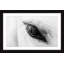 « trusting eye »-cadre photo, impression sur papier-21728441-21728445