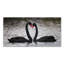  Art mural sur toile tendue - C.S. Tjandra «In Love», art mural pour le salon, la chambre à coucher ou le bureau - 24 x 47-22375213