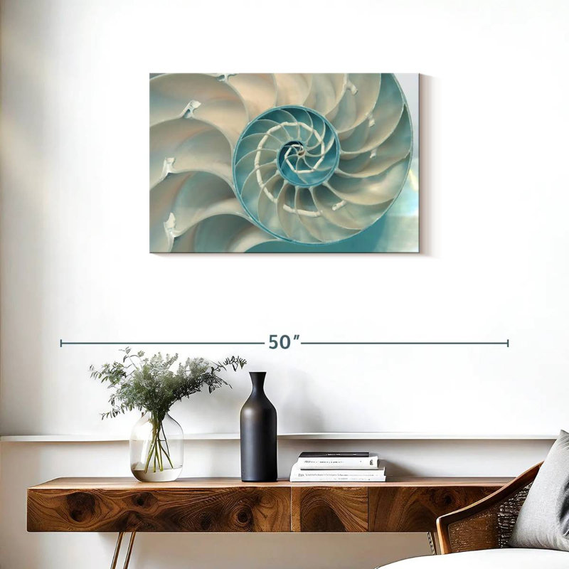 À l'intérieur d'une coquille Nautilus, H 20 po x l 30 po
