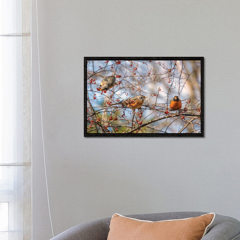 Spring Robins II 1 Piece Wall Art on Canvas, 66.04 cm H x 45.72 cm W, Black Framed