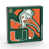 Miami Hurricanes