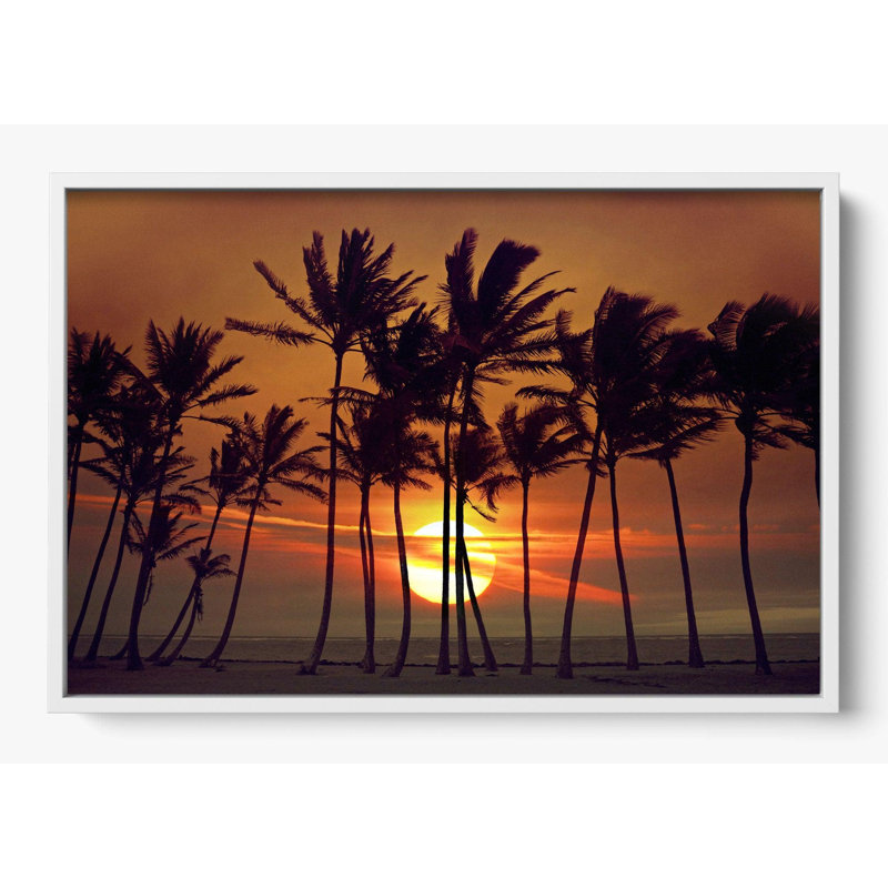 «Beyond The Palms», Non, 62 x 42, Blanc