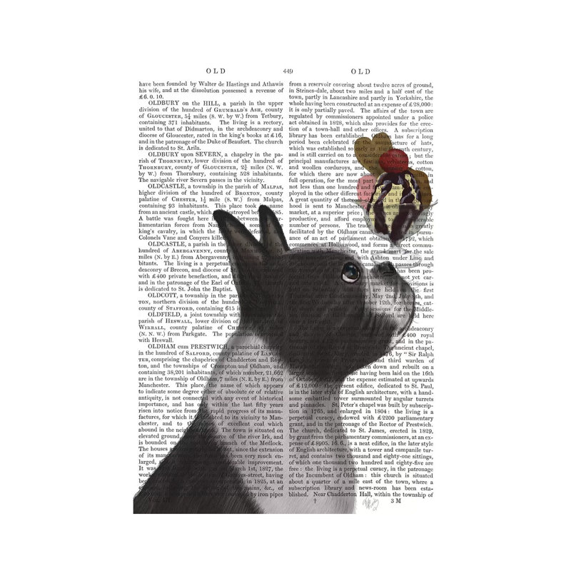 Boston Terrier Ice Cream, Print BG by Fab Funky - Wrapped Canvas Gallery-Wrapped Canvas Giclée, 20.32 cm H x 30.48 cm W
