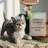 Lying Cat Solar Planter Garden Decor