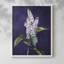 Série FLORAL CCxxxi - reproduction encadrée de qualité supérieure - prête à être accrochée - aucun clou requis