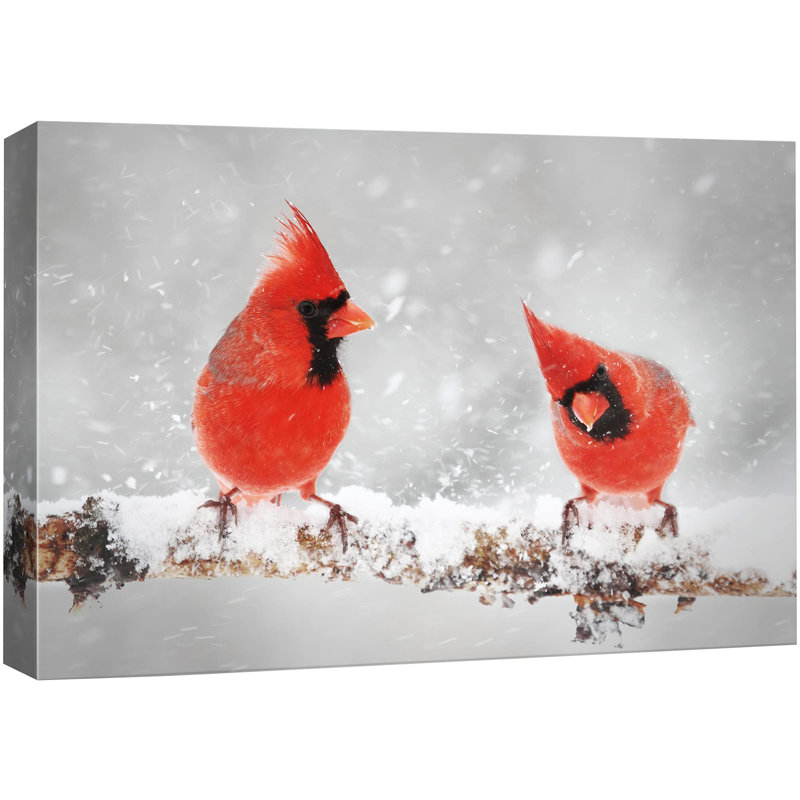 Oiseau, animaux, deux cardinaux dans la neige, H 16 po x l 24 po