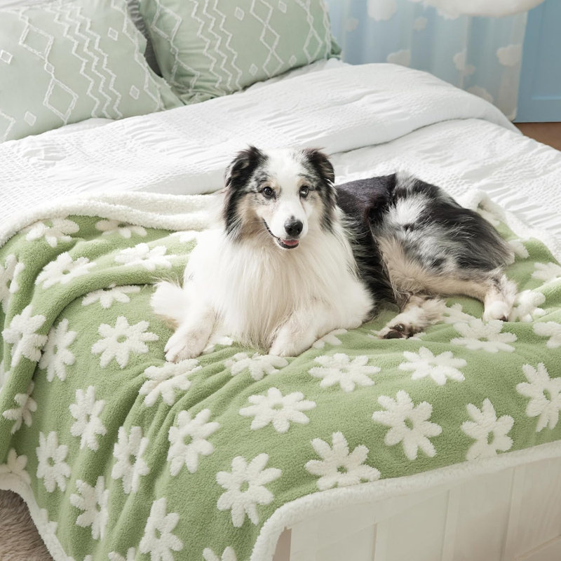 Couverture pour chien et chat Lesure, XL (l 60 po x P 50 po), Marais floral