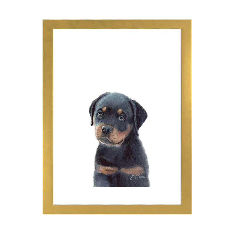 «Rottweiler Puppy» par Watercolor Luv - reproduction d'art, H 24 po x l 16 po x P 1 po, Papier encadré doré, Blanc