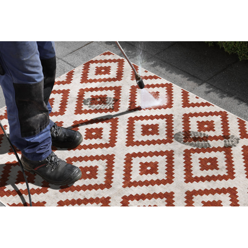 Machine Woven Terra/Cream Indoor/Outdoor Rug