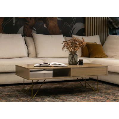 Anurima Coffee Table with Storage