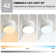 Boun 42'' Ceiling Fan with LED Lights