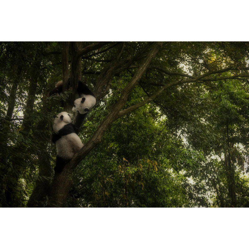 Wrapped Canvas Print, 60.96 cm H x 91.44 cm W