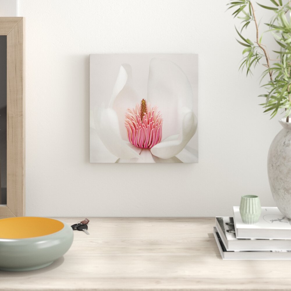 Leinwandbild Magnolia