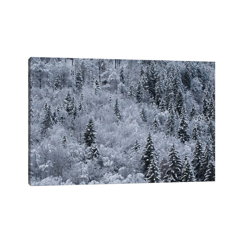 Winter by Mateusz Piesiak - Wrapped Canvas Print, 66.04 cm H x 45.72 cm W x 3.175 cm D