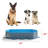 PVC,PE Square Pet Pool 12'' H x 71'' W x 39'' L-99954155