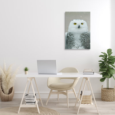 Toile «Snowy Owl» par Carrie Ann Grippo-Pike