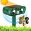 Projecteur DEL vert à énergie solaire