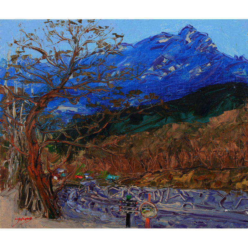 Wrapped Canvas Print, 50.8 cm H x 76.2 cm W