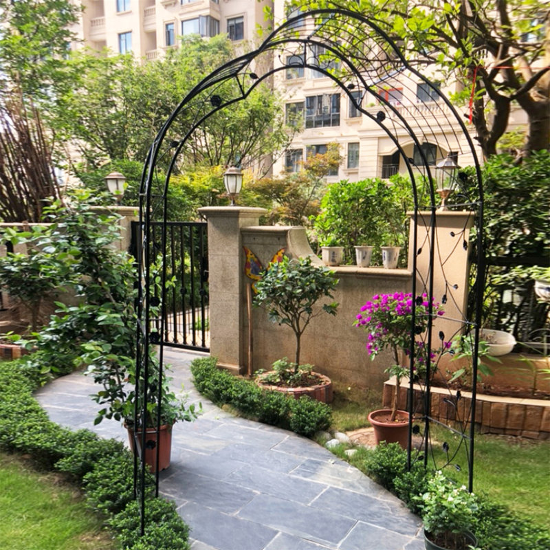 Elier 98.4'' H x 59'' W Iron Arched Trellis, Black