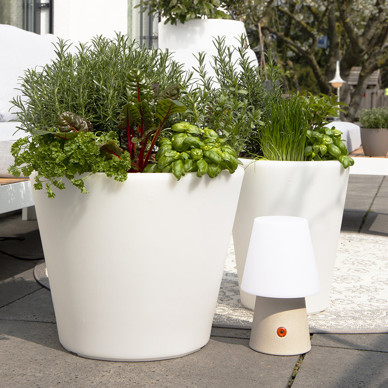 Vita Pot Planter, White, 39cm H x 34cm W x 34cm D