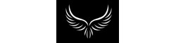 Logo Hawk Crest