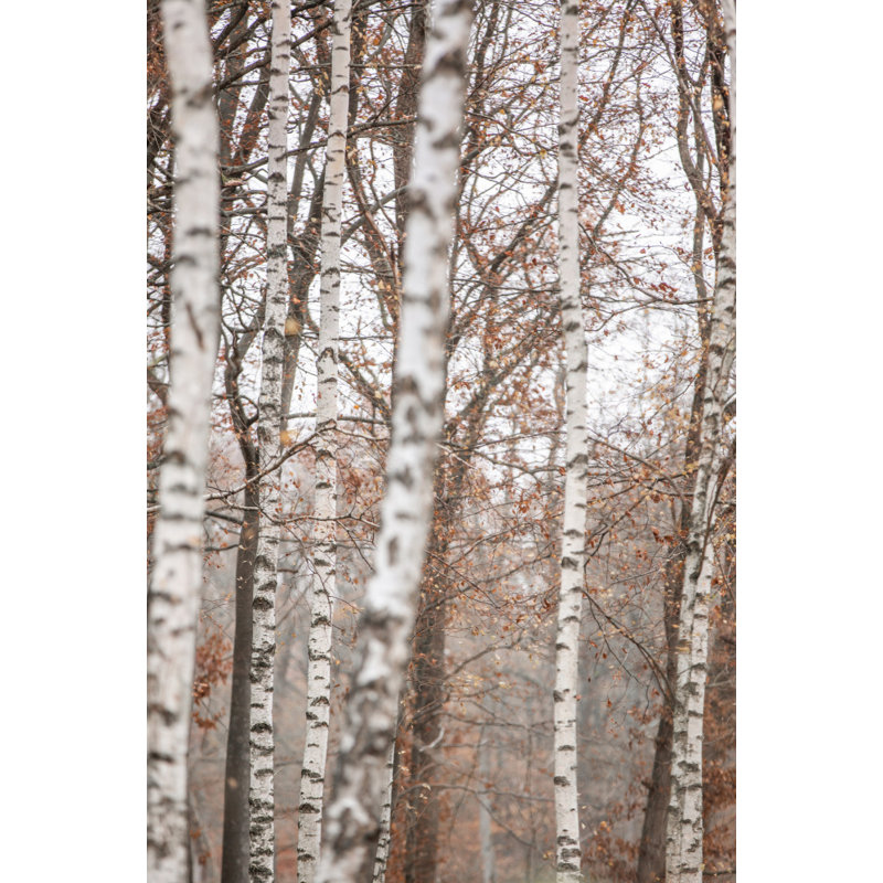 Wrapped Canvas Print, 91.44 cm H x 60.96 cm W