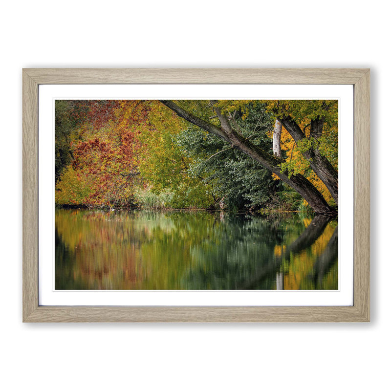 Landscape Autumn Forest Lake Reflection Framed Photographic - Framed Print, Oak