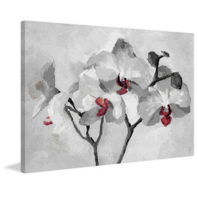 " Orchid Bloom II "