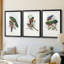 Gould Tropical Birds I - Impression personnalisée de qualité supérieure avec cadre mat - 3 pièces-1256357241