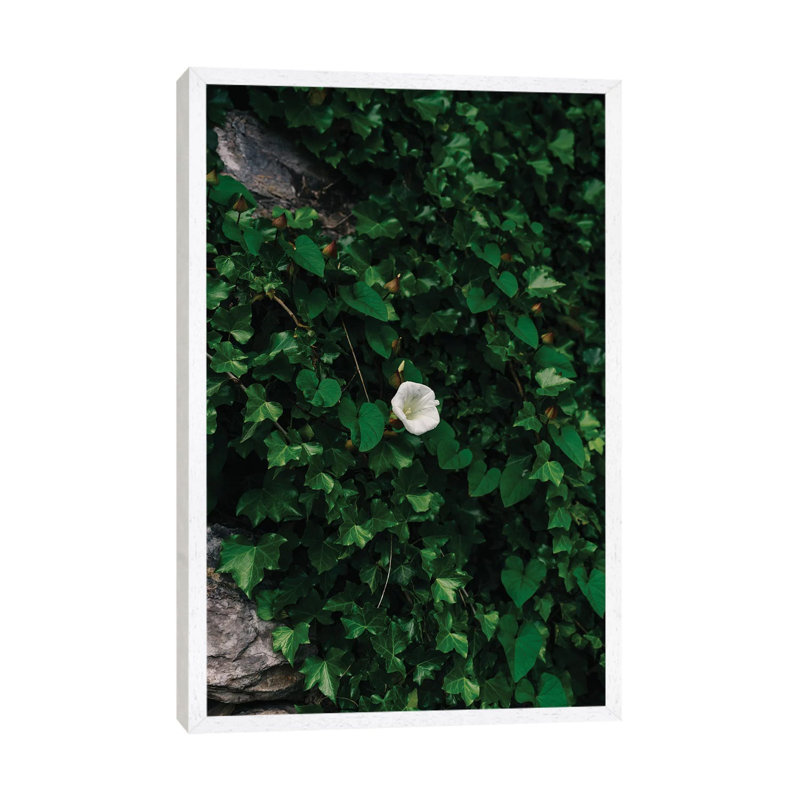 Amalfi Coast Blooms IV 1 Piece Wall Art on Canvas, 101.6cm H x 66.04cm W x 3.81cm D, White Framed
