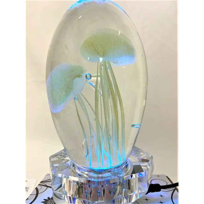 Cloche ou globe d'eau Graford Jellyfish