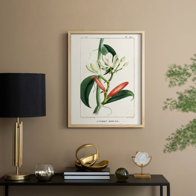 Turpin Tropical Botanicals, reproduction d'art encadrée - bois massif