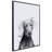 " Weimaraner " by Jodi P.