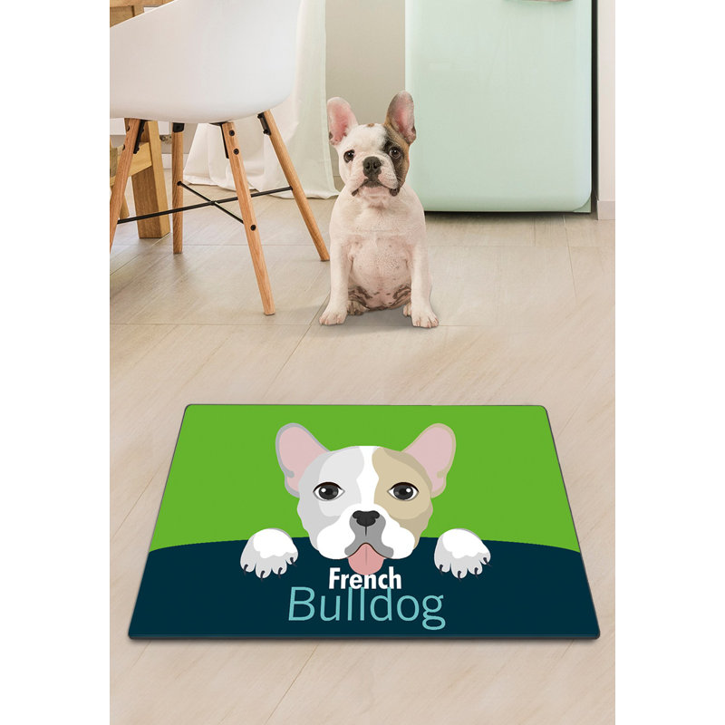 Cat Litter Mat