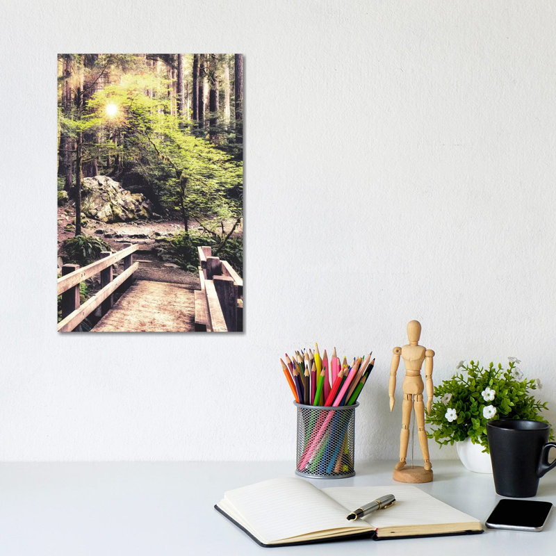 Sunlight On The Forest Path by Andy Amos - Print on Canvas, Wrapped Canvas, 20.32 cm H x 30.48 cm W