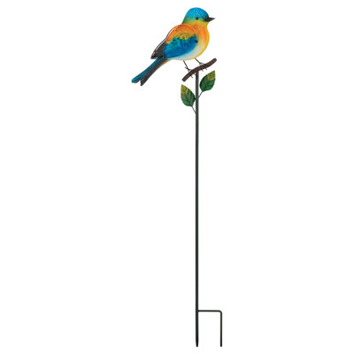 Piquet Songbird - oiseau bleu
