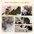 Harbaugh 68.1'' H Cat Tree-641727663