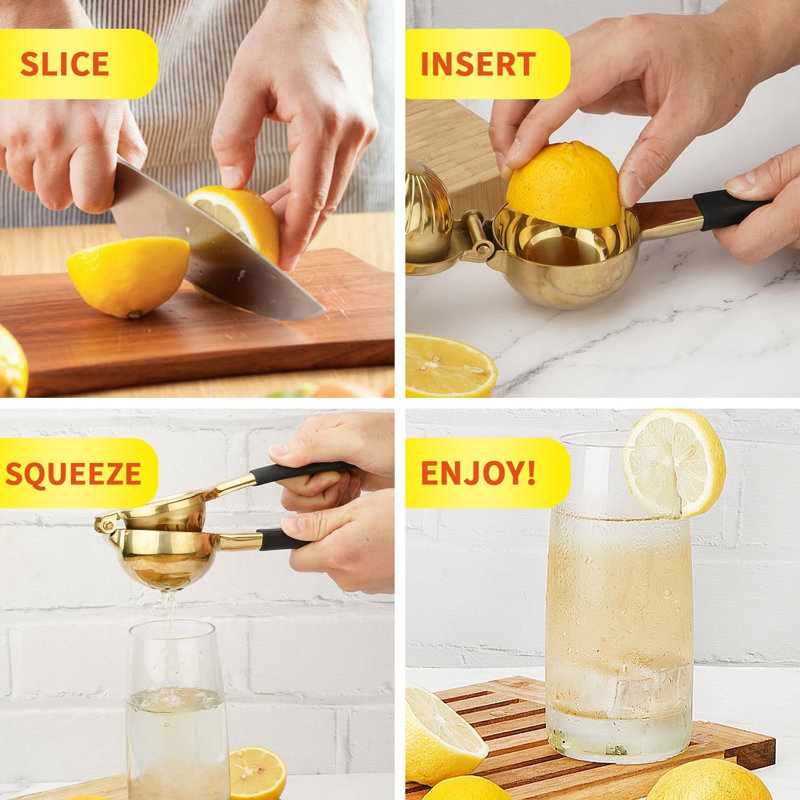 Centrifugeuse à citron en acier inoxydable