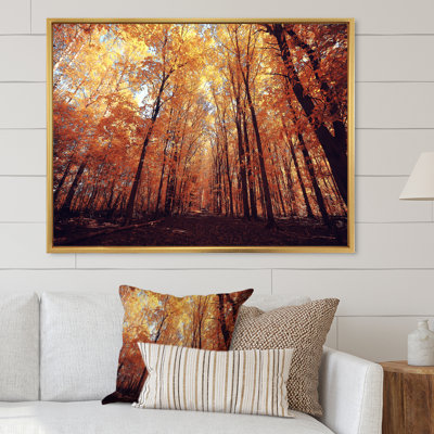 Mystic Yellow Fall Forest III " Mystic Yellow Fall Forest III " Painting Print