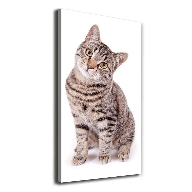Cat - Wrapped Canvas Print