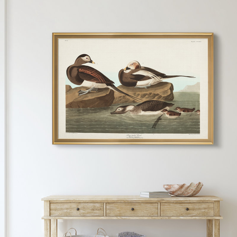 «Long Tailed Duck», reproduction sur toile encadrée, H 26,5 po x l 36,5 po x P 1,5 po, Doré