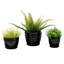 Ceramic Pot Planter-1572551478