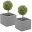 Emmilyn Pot Planter-1243062856