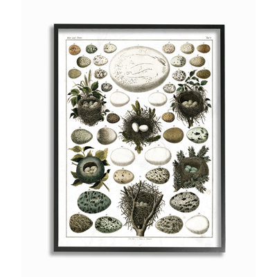 «Eggs And Nids» par Lettered and Lined - impression d'art textuel
