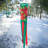 Poinsettia 40" Windsock